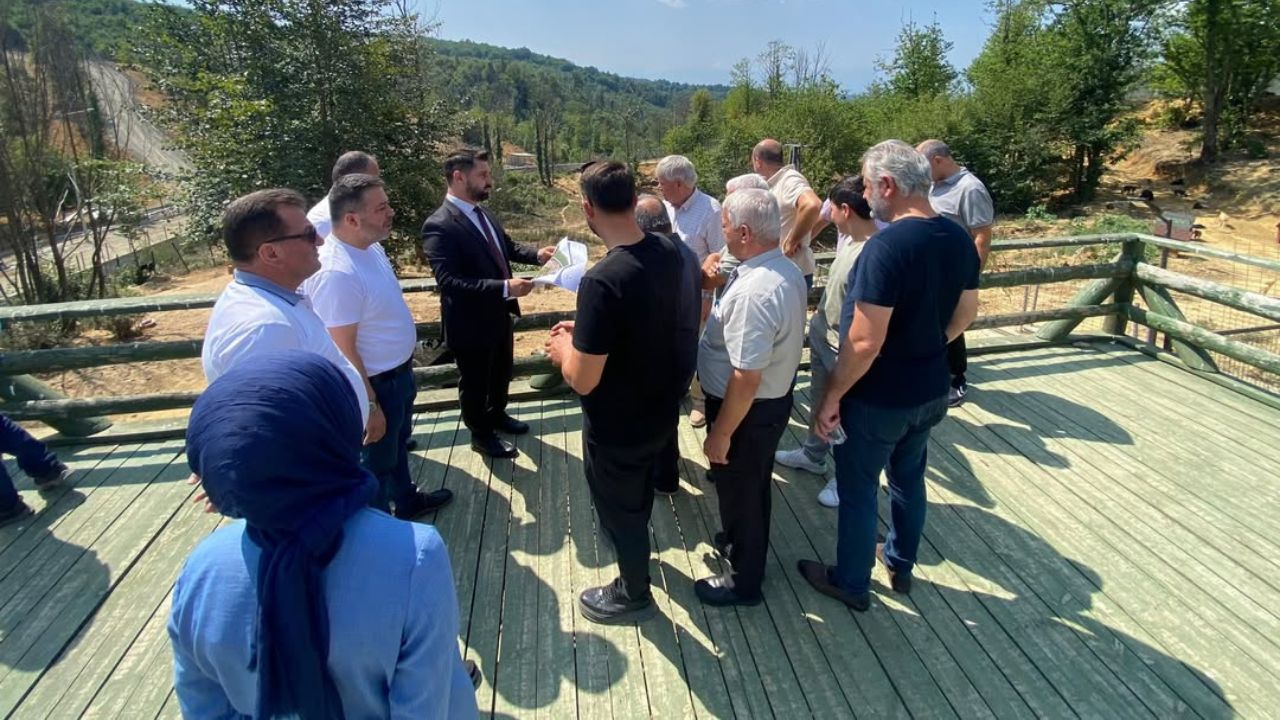 Meclis Üyeleri Sokak Hayvanları İçin Sahadaydı