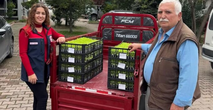 Gölyaka’da TAKEP Projesi Kapsamında Üreticilere Marul Fidesi Desteği