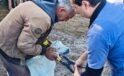 Gökçeağaç’ta Küçükbaş Hayvanlara Küpe Uygulaması Yapıldı