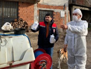 Düzce’de Kahverengi Kokarca ile Kışlak Mücadelesi Başladı