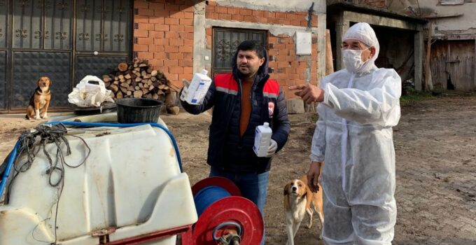 Düzce’de Kahverengi Kokarca ile Kışlak Mücadelesi Başladı