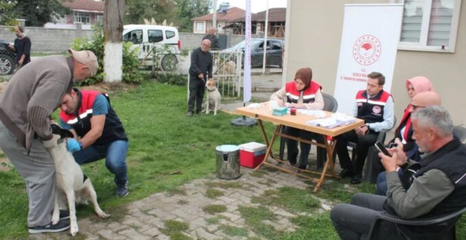 Düzce’de 13 Binden Fazla Kedi ve Köpek Mikroçip ile Kayıt Altına Alındı