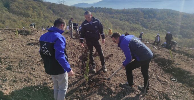 Düzce SEDAŞ, Geleceğe Nefes Olmak İçin 500 Fidan Dikti