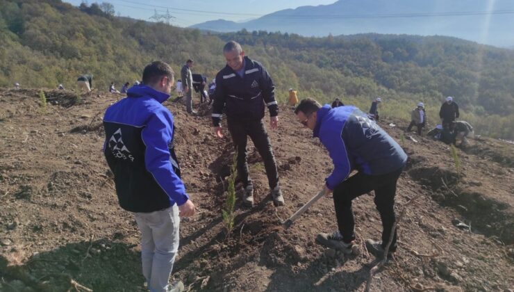 Düzce SEDAŞ, Geleceğe Nefes Olmak İçin 500 Fidan Dikti
