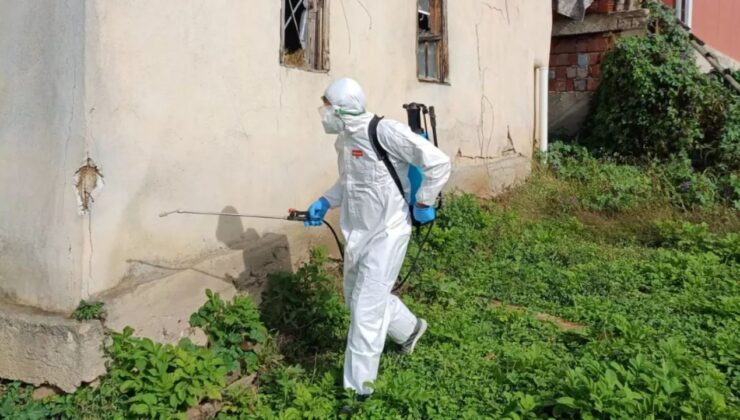 Yığılca Gelenöz Köyü’nde Kahverengi Kokarca ile Kışlak Mücadelesi Gerçekleştirildi