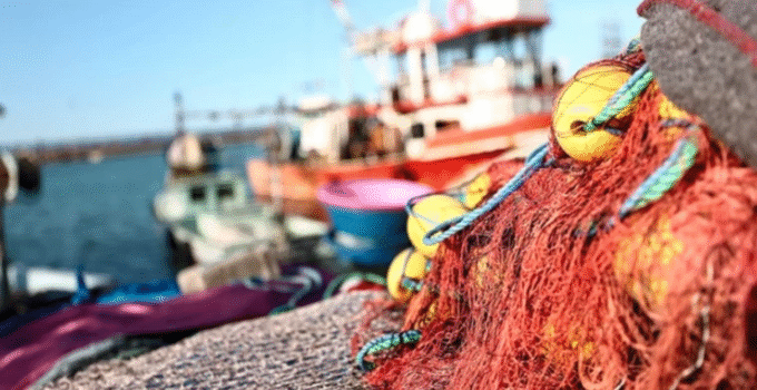 Akçakoca Sahilleri Balıkçılarla Şenlendi