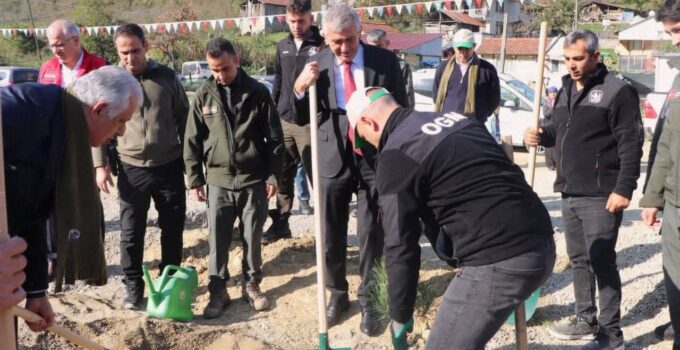 Geleceğe Nefes, Akçakoca’ya Umut Fidanlar Toprakla Buluştu