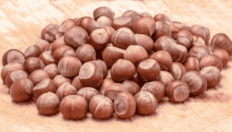 Düzce’de Serbest Piyasada Fındık Fiyatları Yeniden Belirlendi