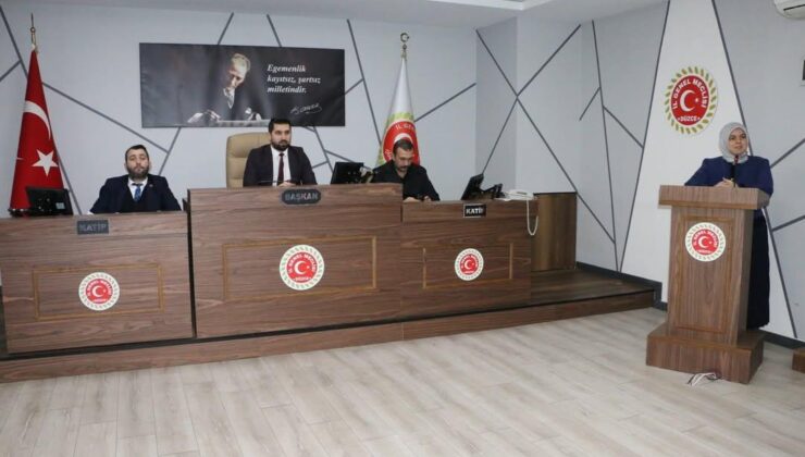 İl Genel Meclisi’nde 2025 Tarım ve Hayvancılık Çalışmaları Değerlendirildi