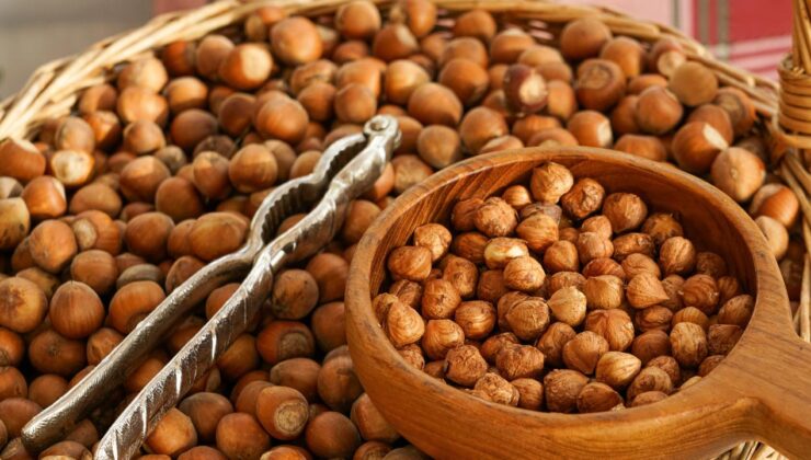 Düzce’de Fındık Fiyatları Sert Düştü: Güncel Rakamlar Açıklandı