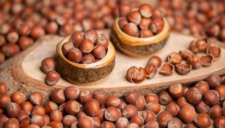 Fındıkta 7 Şubat Tablosu: Düzce’de Gözler Yine Piyasada