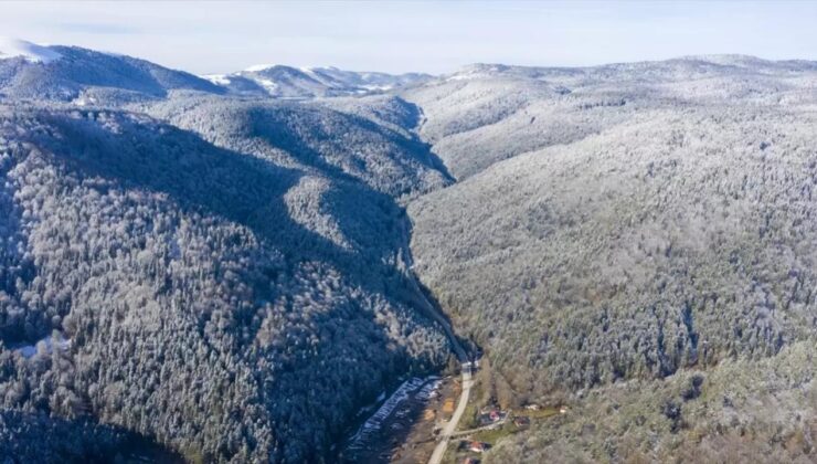 Düzce’de Kar Etkisini Gösterdi: Yaylalar Beyaza Büründü