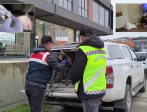 Düzce’de Uyuşturucu Çetesine Ağır Darbe: 36 Gözaltı!