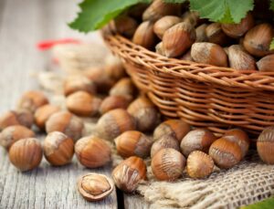 Düzce Fındığı Avrupa Sofralarında: Ocak Ayında 811 Ton İhracat Edildi