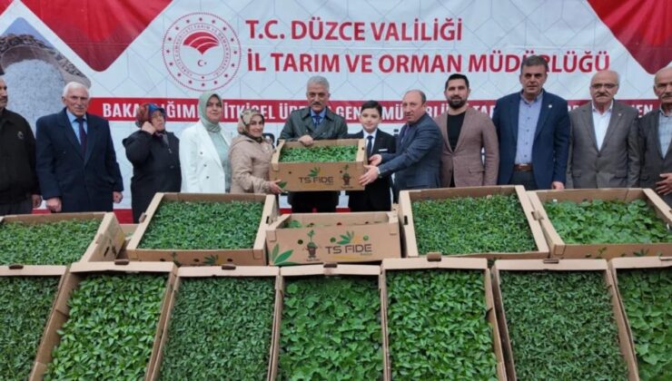 Düzce’de 300 Üreticiye 110 Bin Fide Desteği