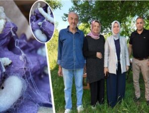 Düzce’de İpek Böcekçiliğini Tek Başına Yaşatıyor: Emekli Öğretmen Gençlere Çağrı Yaptı