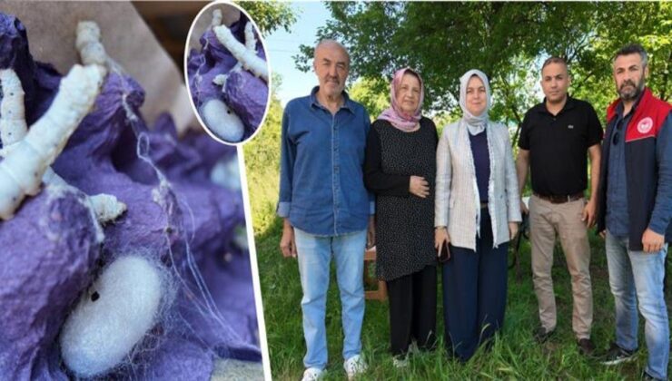 Düzce’de İpek Böcekçiliğini Tek Başına Yaşatıyor: Emekli Öğretmen Gençlere Çağrı Yaptı