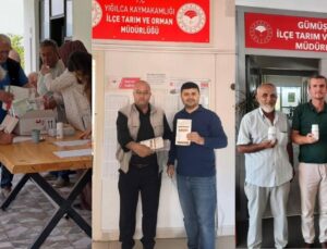 Düzce’de Fındığı Korumak İçin Mücadele Kararlılıkla Sürüyor