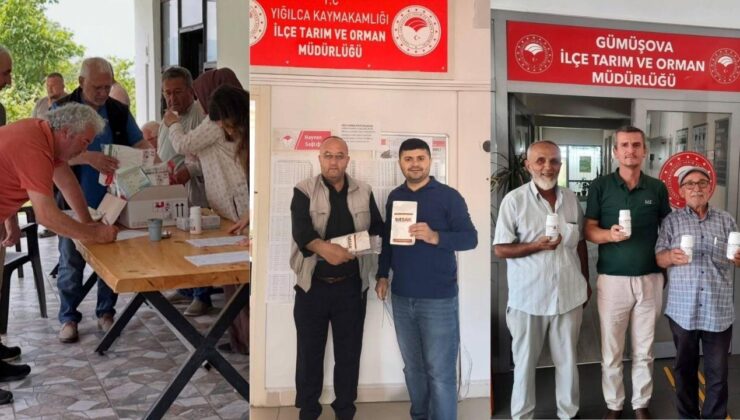Düzce’de Fındığı Korumak İçin Mücadele Kararlılıkla Sürüyor