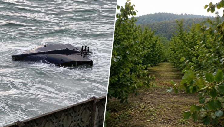 Akçakoca’da İkinci İHA Vakası: Sahilden Sonra Fındık Bahçesinde
