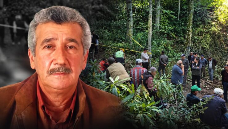 Düzce’de Orman Kesim Sahasında Acı Olay: İşçi Hayatını Kaybetti