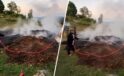 Akçakoca’da Fındıklıkta Yangın; İtfaiye Ekipleri Müdahale Etti