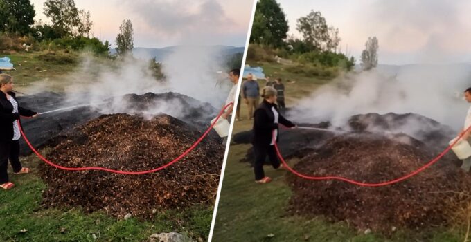 Akçakoca’da Fındıklıkta Yangın; İtfaiye Ekipleri Müdahale Etti