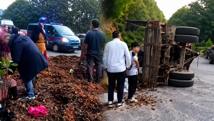 Düzce’de Fındık İşçilerini Taşıyan Traktör Devrildi: Kazada 11 Kişi Yaralandı